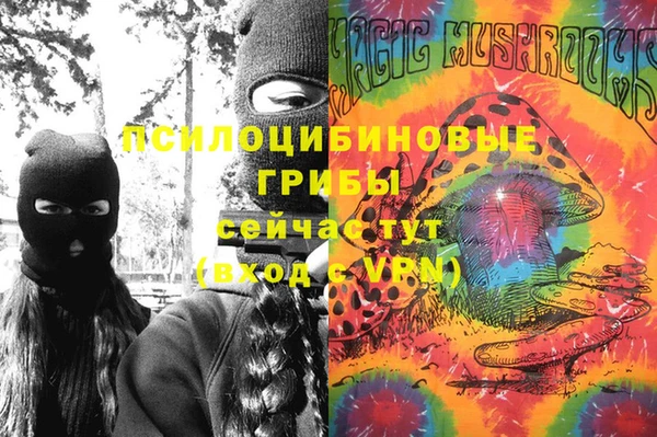 СК Мегион