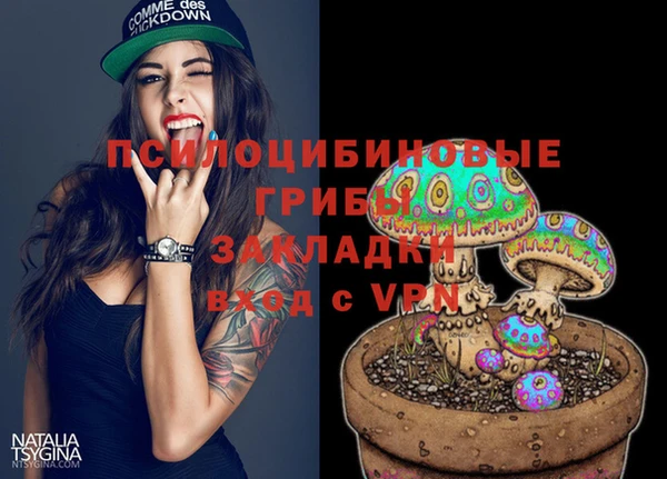 прущий лед Михайлов