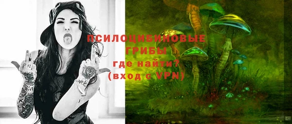 бошки Верхний Тагил