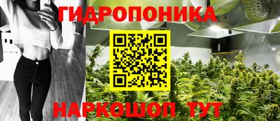 эйфоретик Абакан