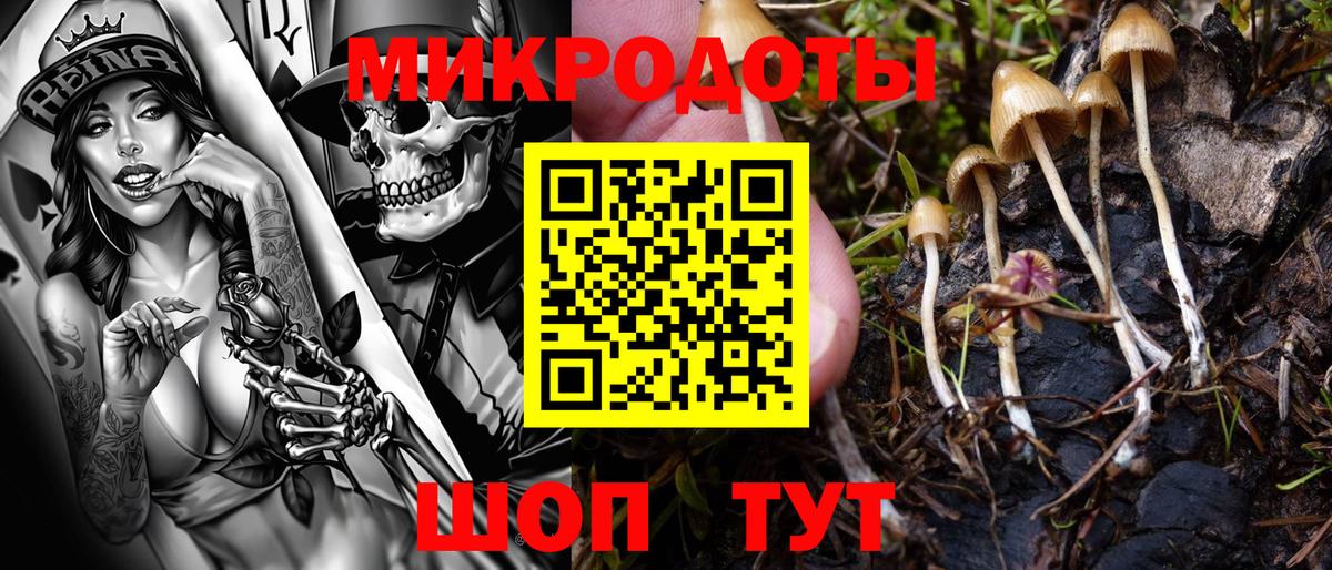 Галлюциногенные грибы GOLDEN TEACHER Ефремов