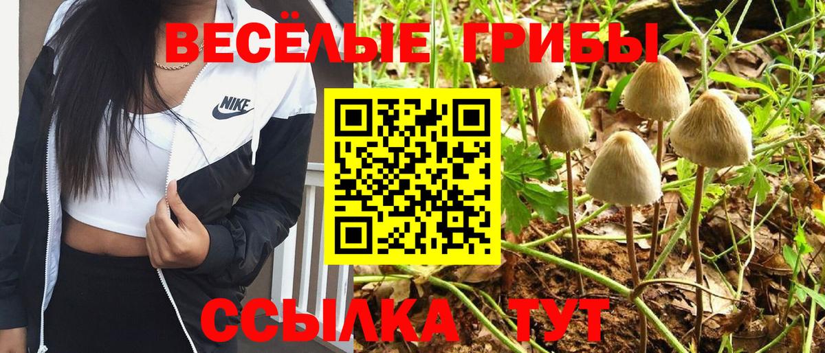Галлюциногенные грибы Magic Shrooms  где продают наркотики  Ефремов 